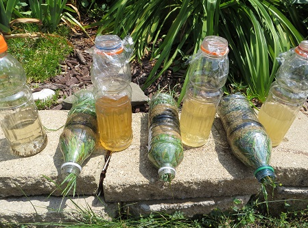 ����̿Ұ���ˮ��(y��ng)��