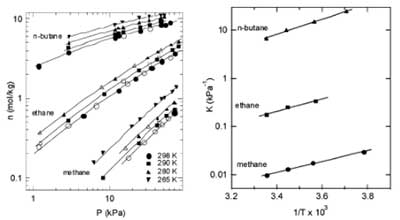 ����̿�����p���N