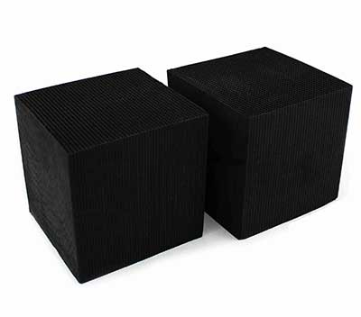 ��C����̿